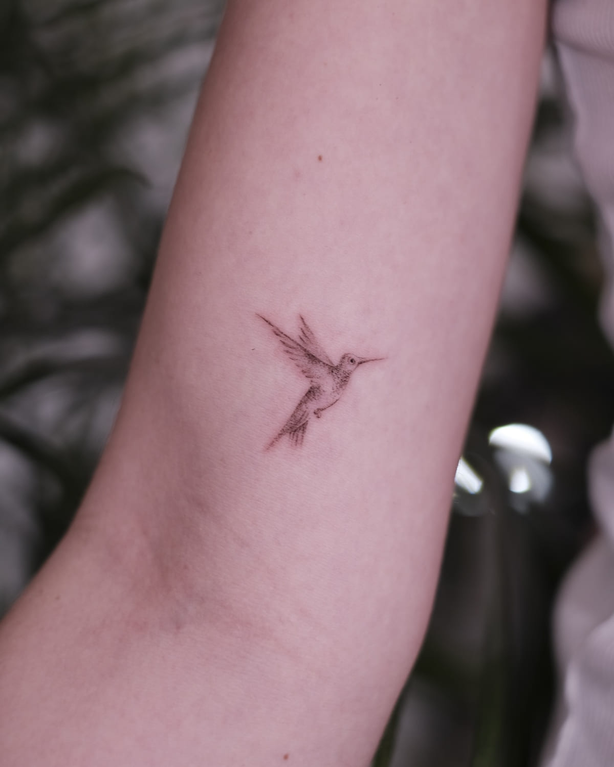 Hummingbird in warm brown red, fine line tattoo
