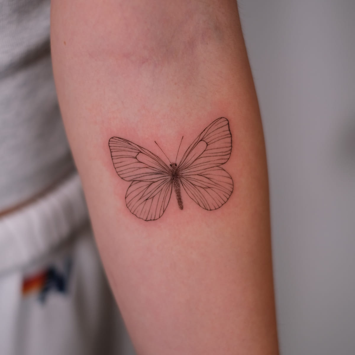Butterfly with veined wings, fine line tattoo