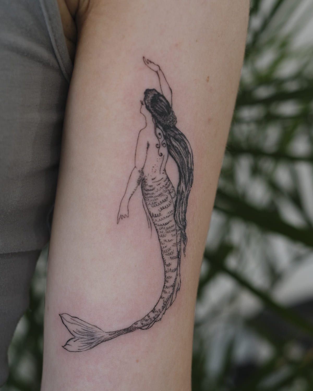Mermaid seen from behind, reaching up, long hair and long tail, fine line tattoo