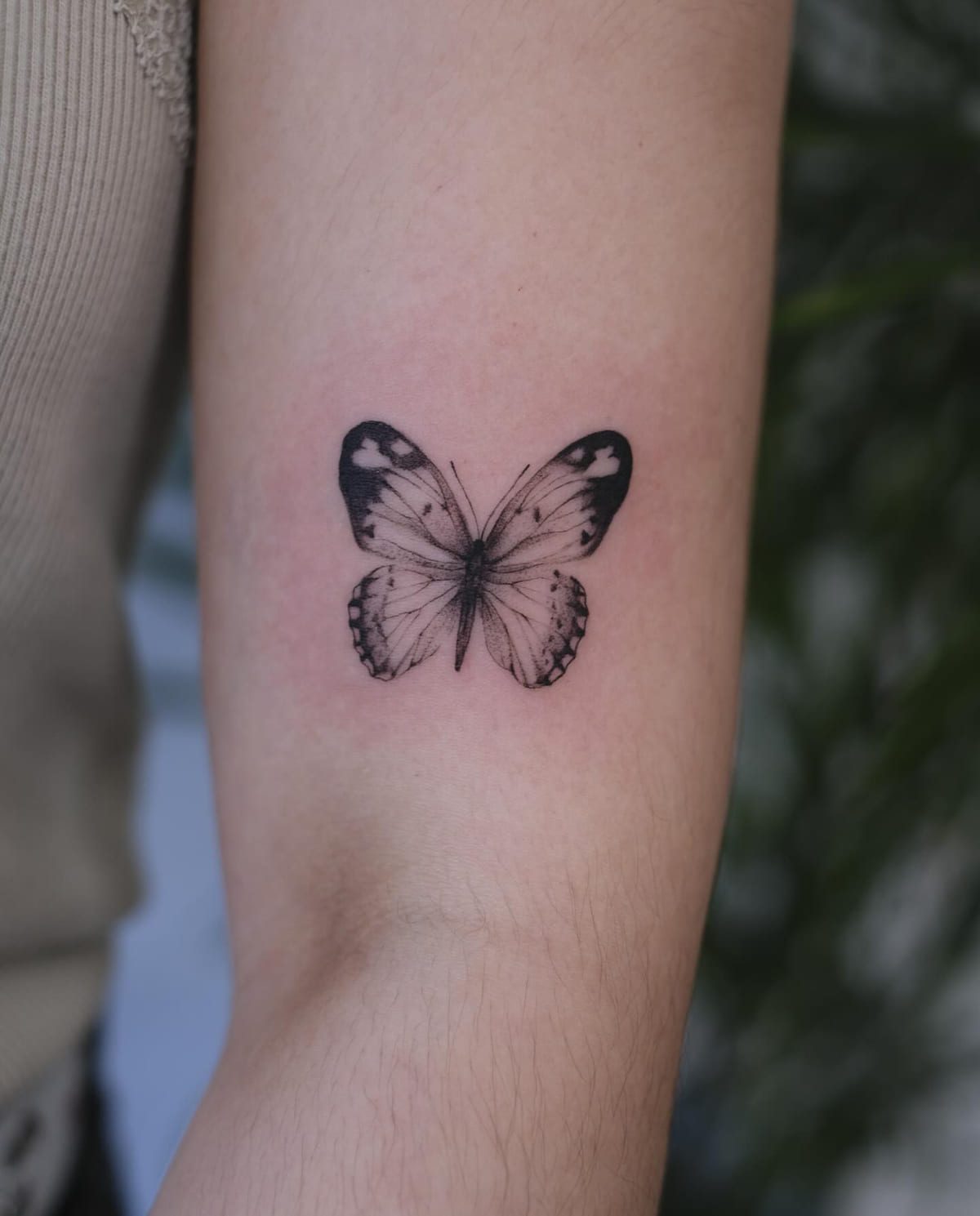 Shaded butterfly above the elbow, another view