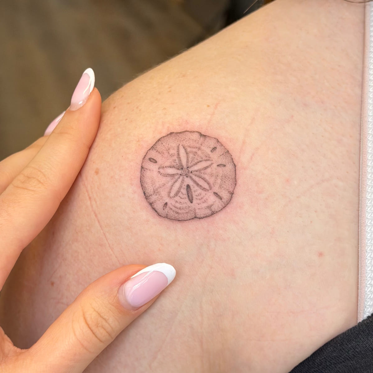 Sand dollar, stippled, another view