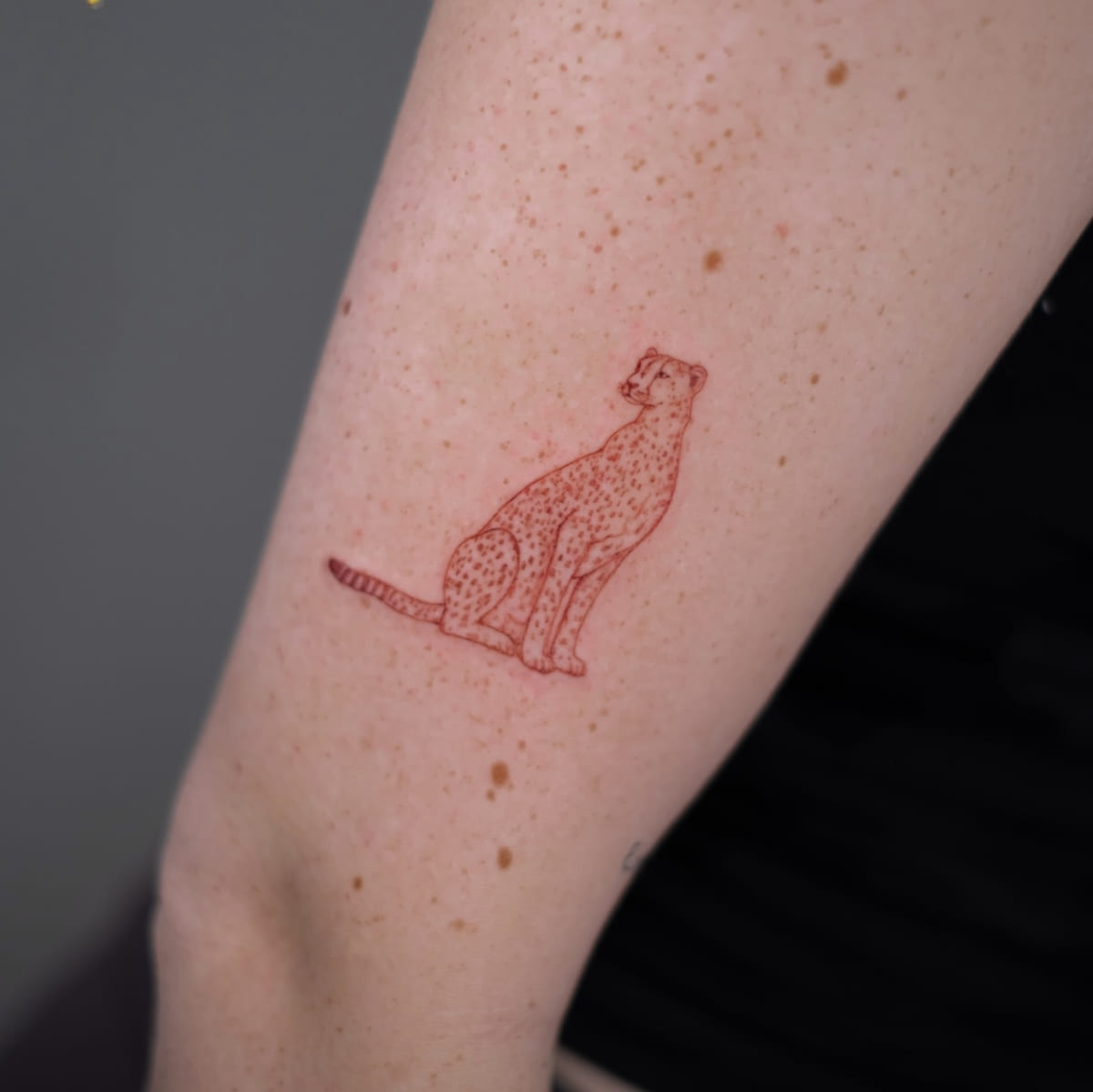 Sitting cheetah, fine line tattoo