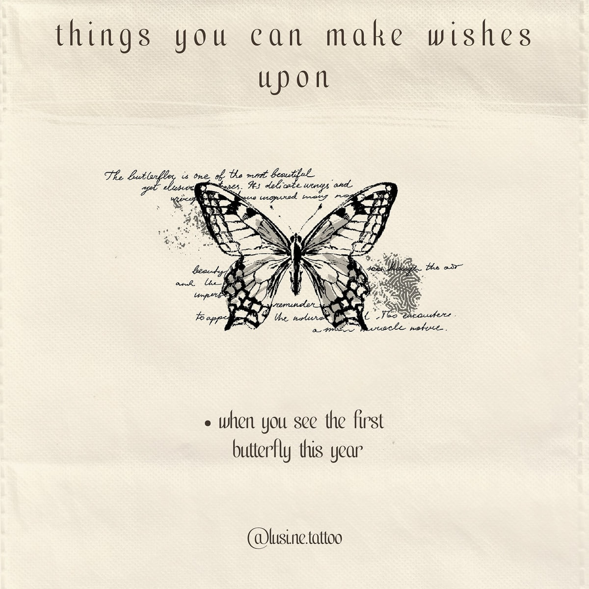 Butterfly: when you see the first butterfly this year