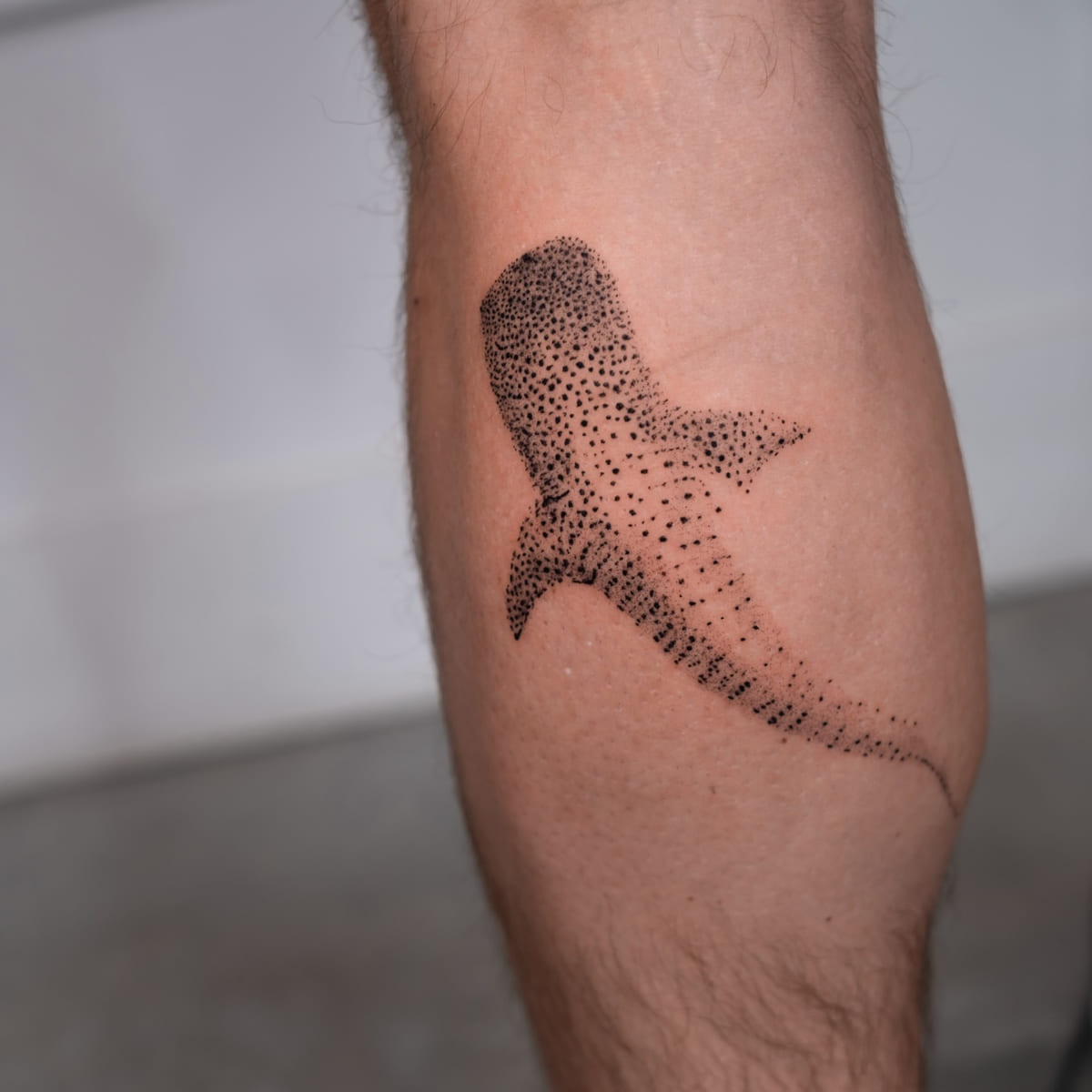 Whale shark in dotwork, fine line tattoo