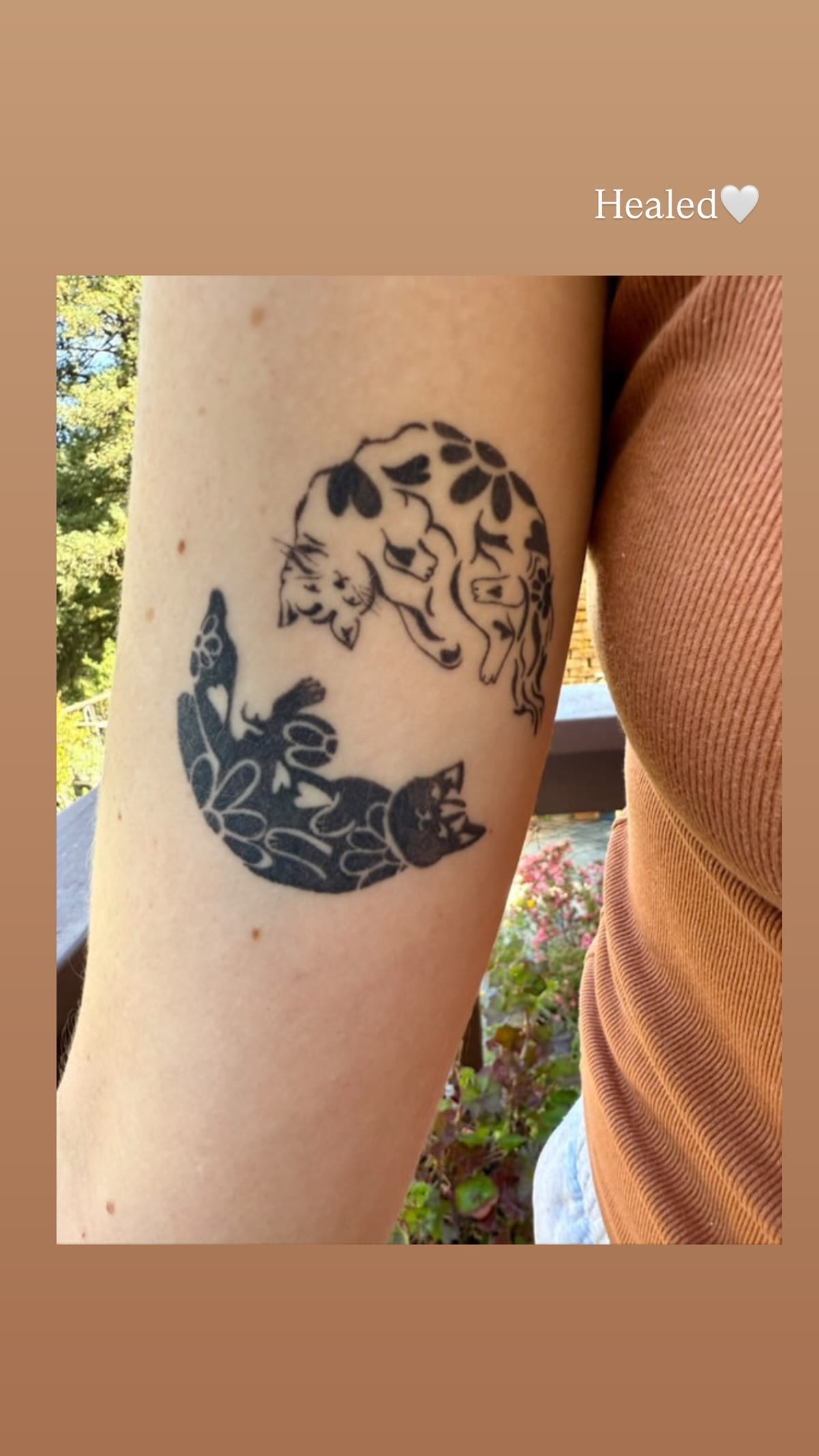 Bold black patterned cats on an upper arm, healed fine line tattoo, healed
