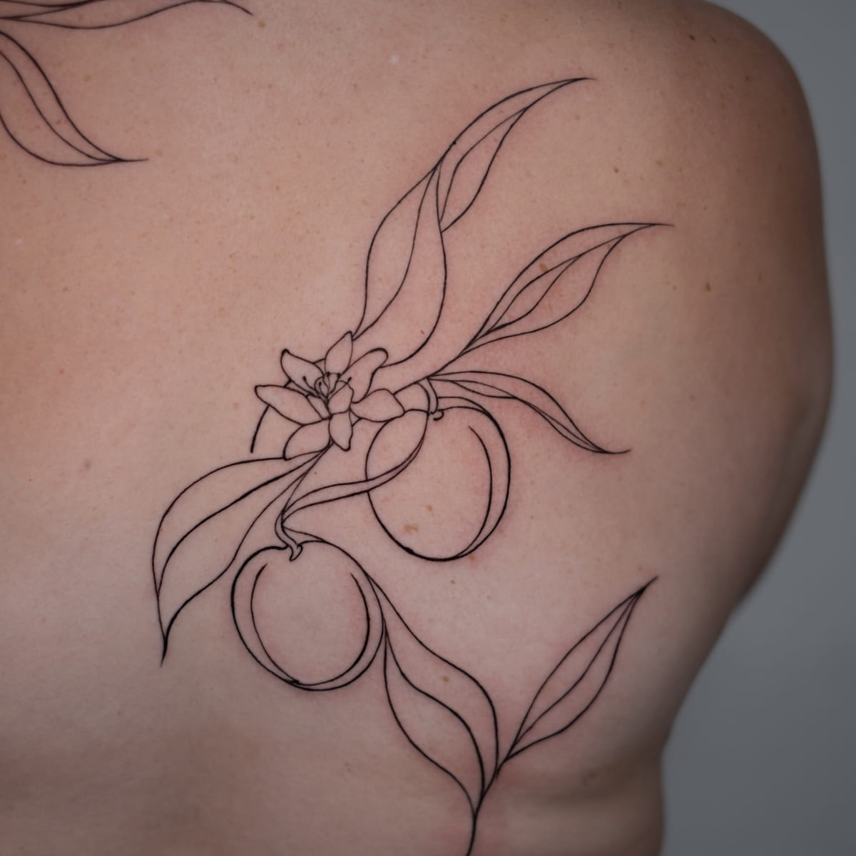 Back piece: citrus branches with blossoms in single line, another view