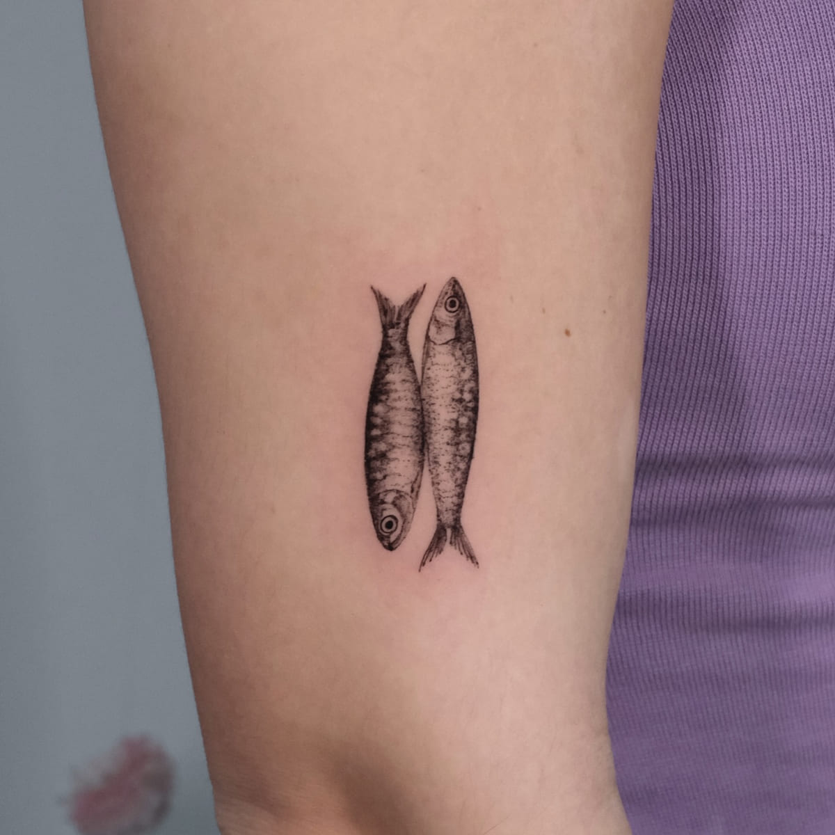 Two sardines, micro realism, another view