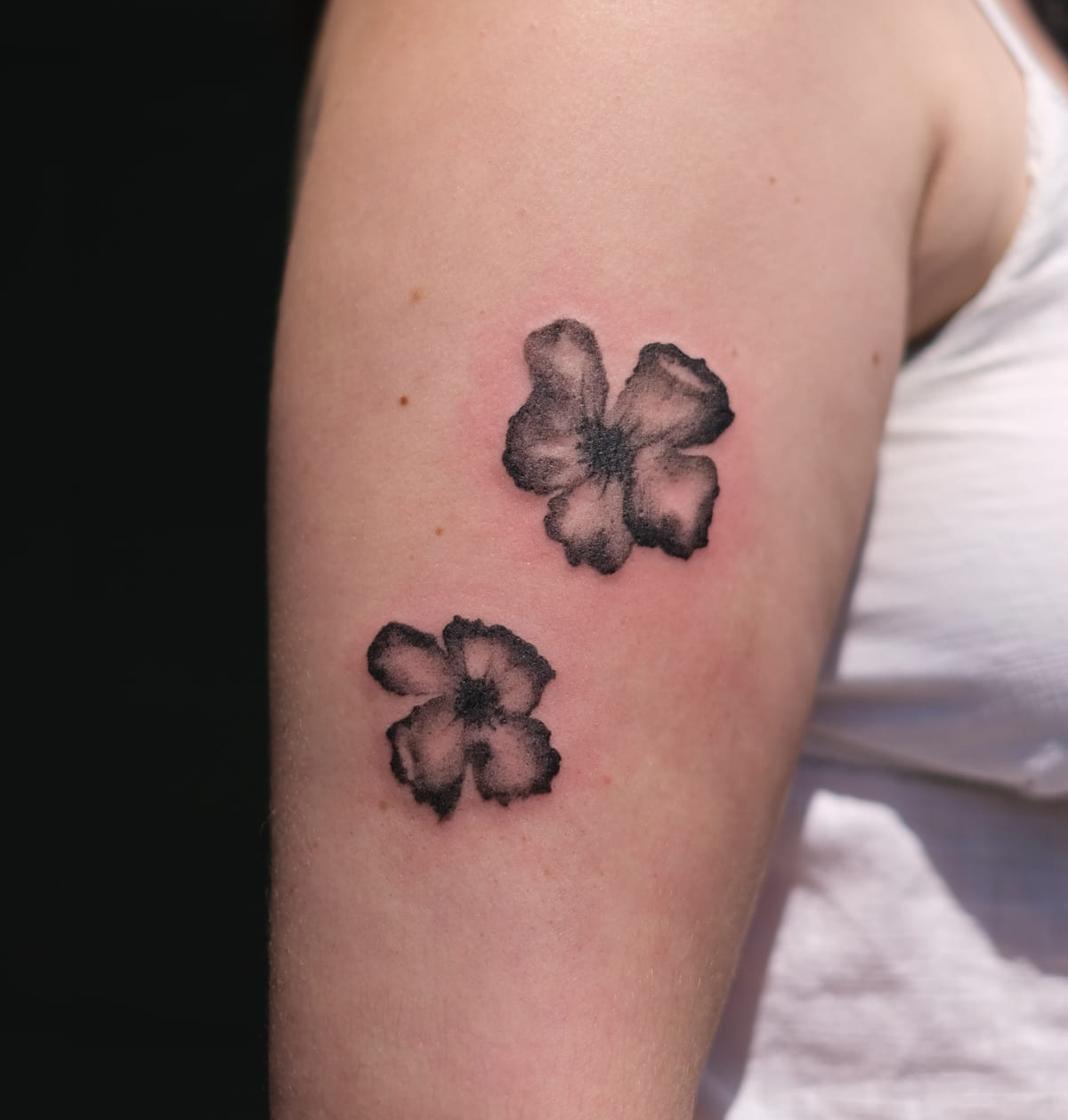 Two pansies in soft black shading, another view