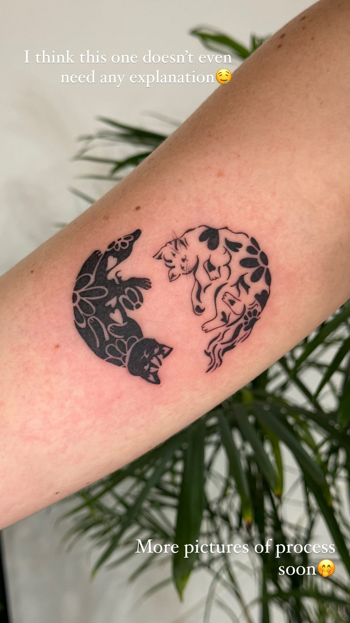 Bold black patterned cats on an upper arm, healed fine line tattoo, the day it was made