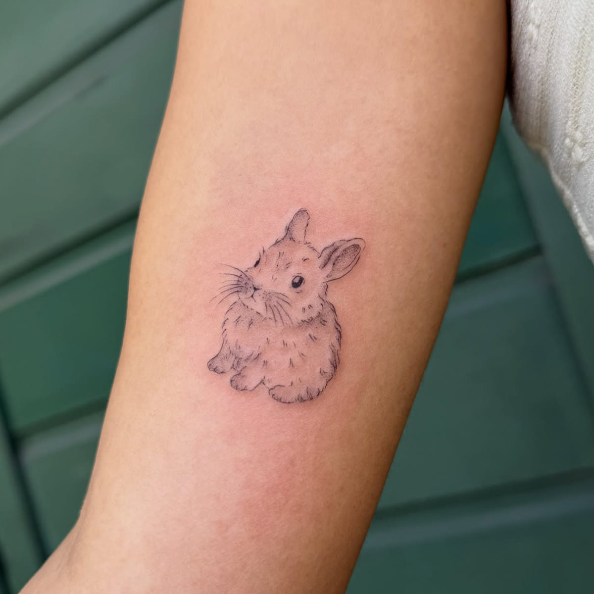 Fluffy baby rabbit, fine hair texture, fine line tattoo