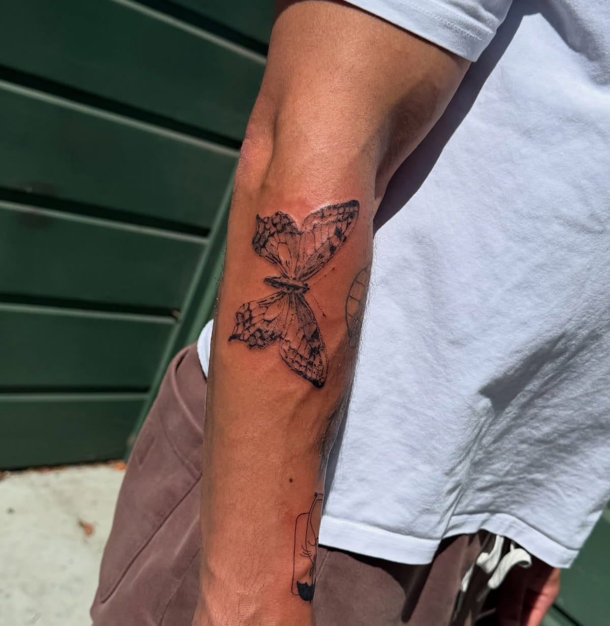 Realistic butterfly near the elbow, fine line tattoo