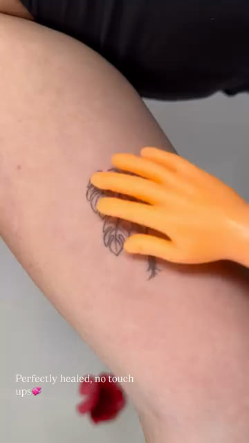Monstera leaf on an inner arm, healed fine line tattoo
