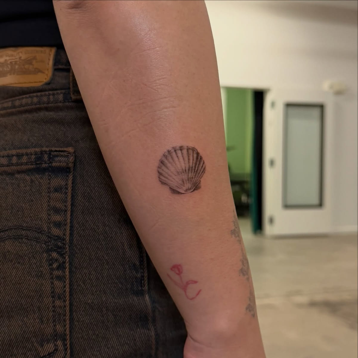 Scallop shell, stippled, fine line tattoo