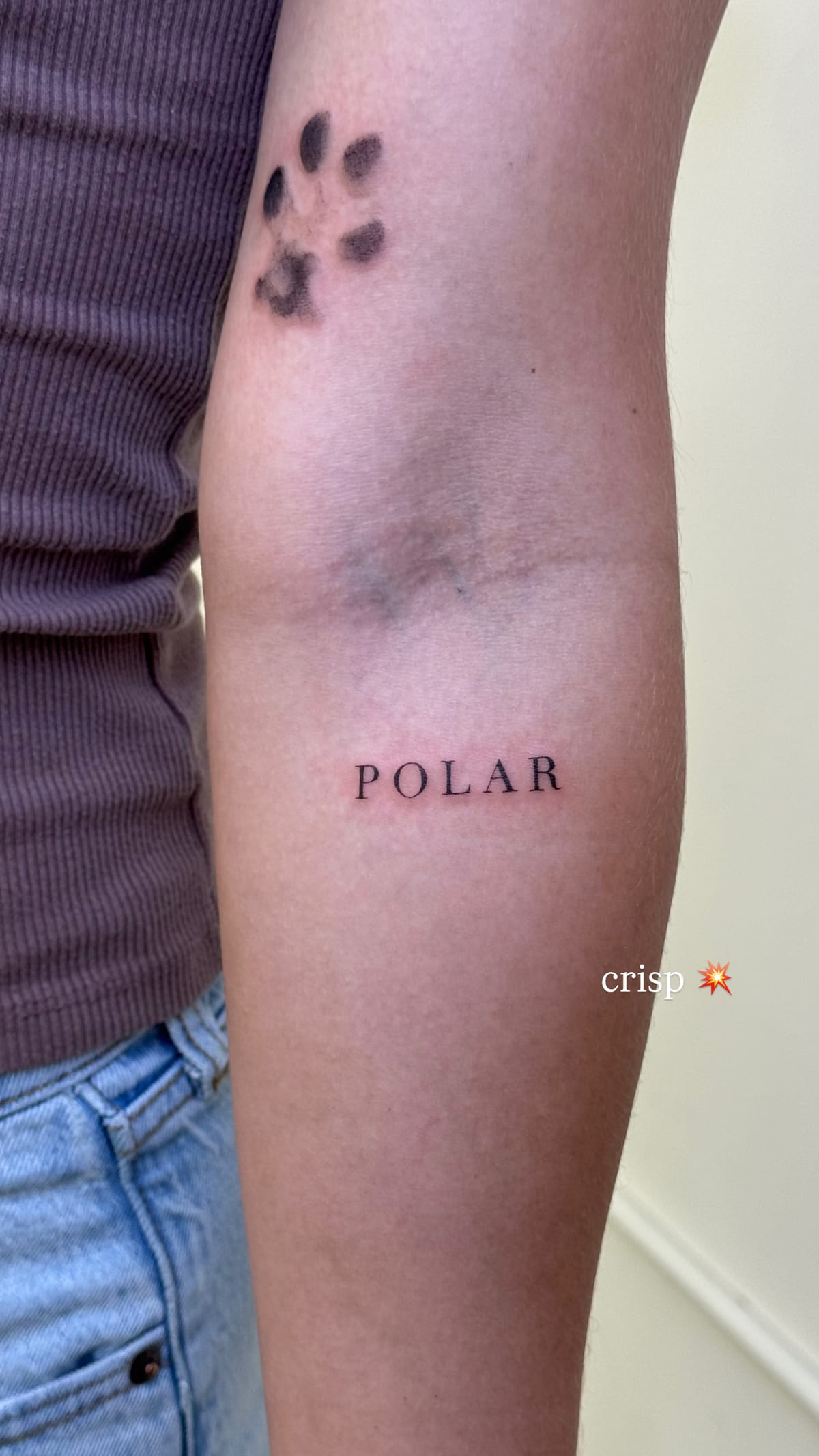Tiny paw print and the word POLAR, healed fine line tattoo, the day it was made