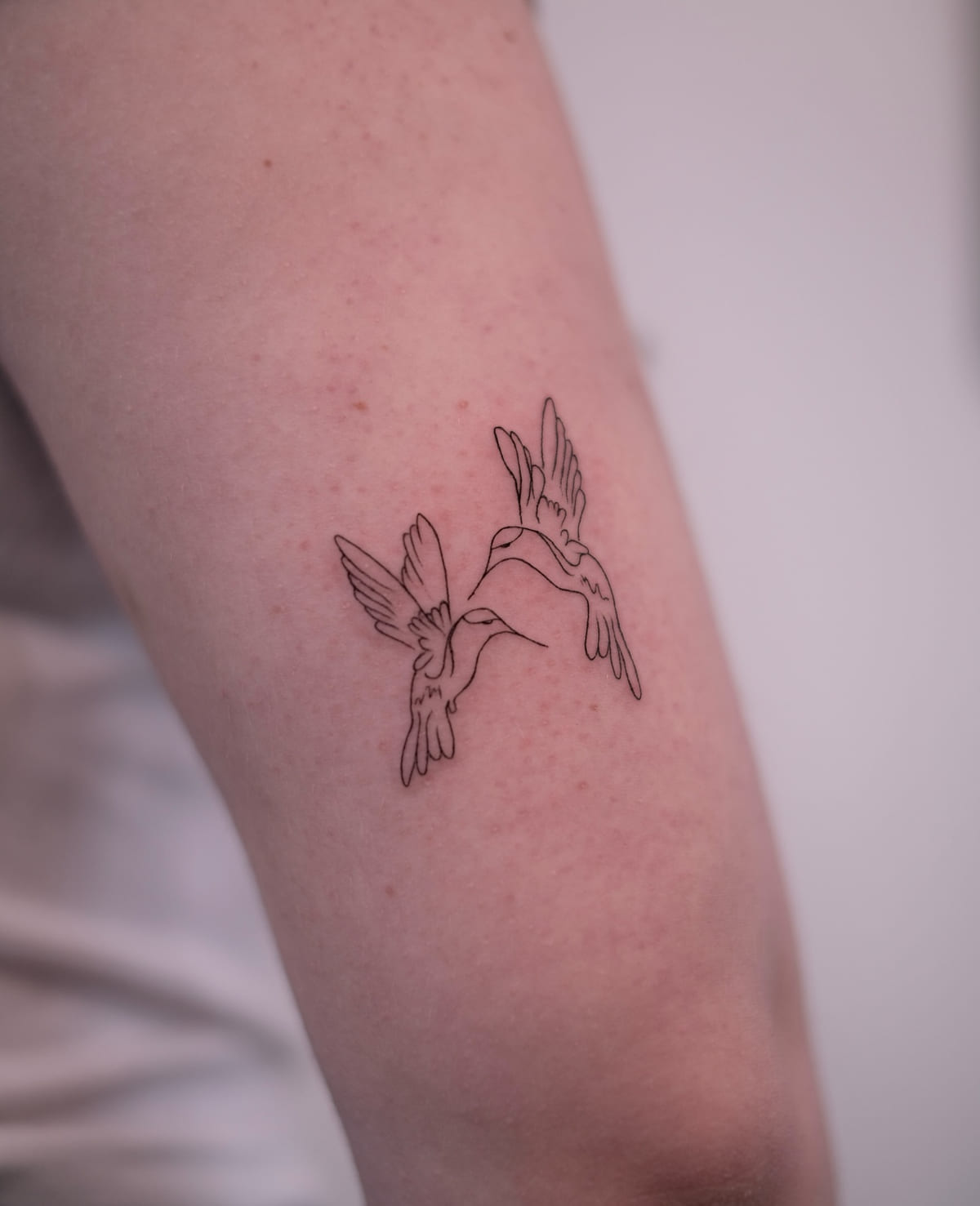 Two hummingbirds facing, fine line tattoo