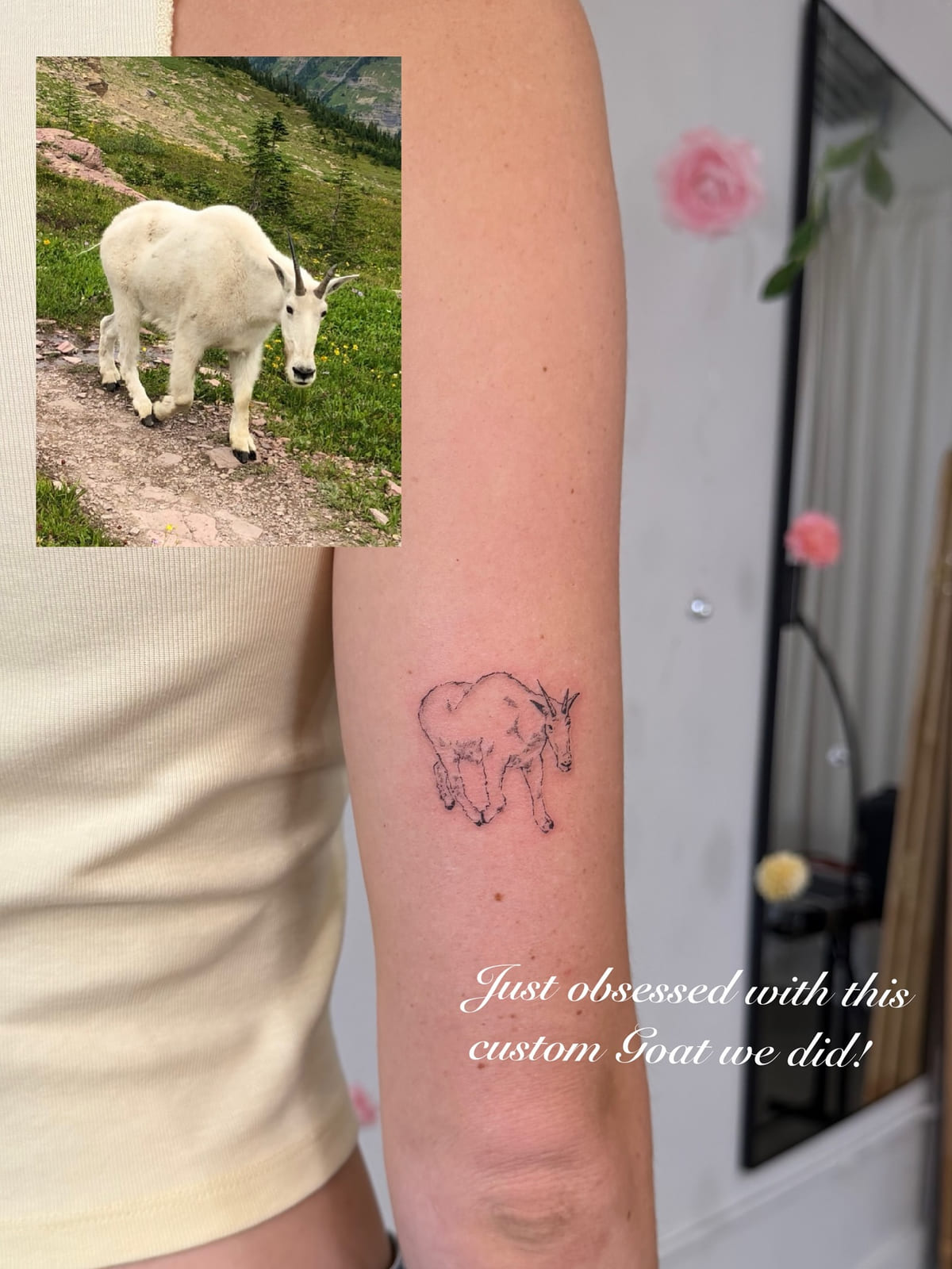 Mountain goat in fine line, healed fine line tattoo, the day it was made