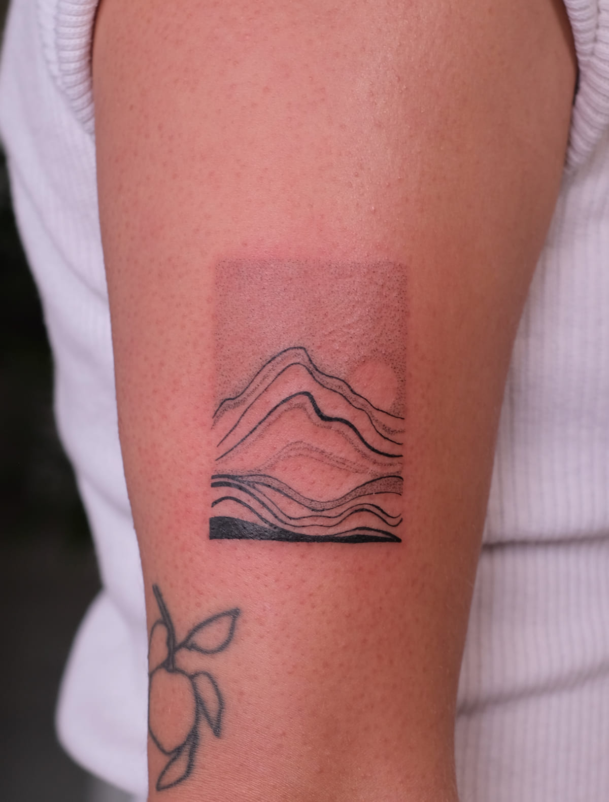 Mountain landscape in lines inside a stippled rectangle, fine line tattoo