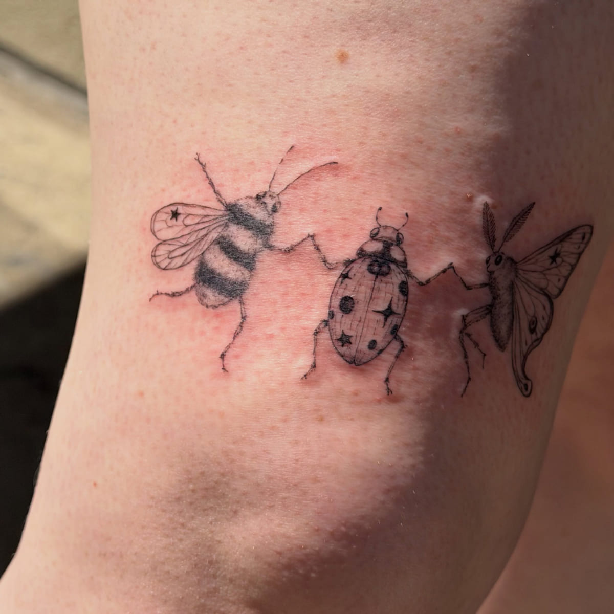 Bee, ladybug and moth holding hands, another view