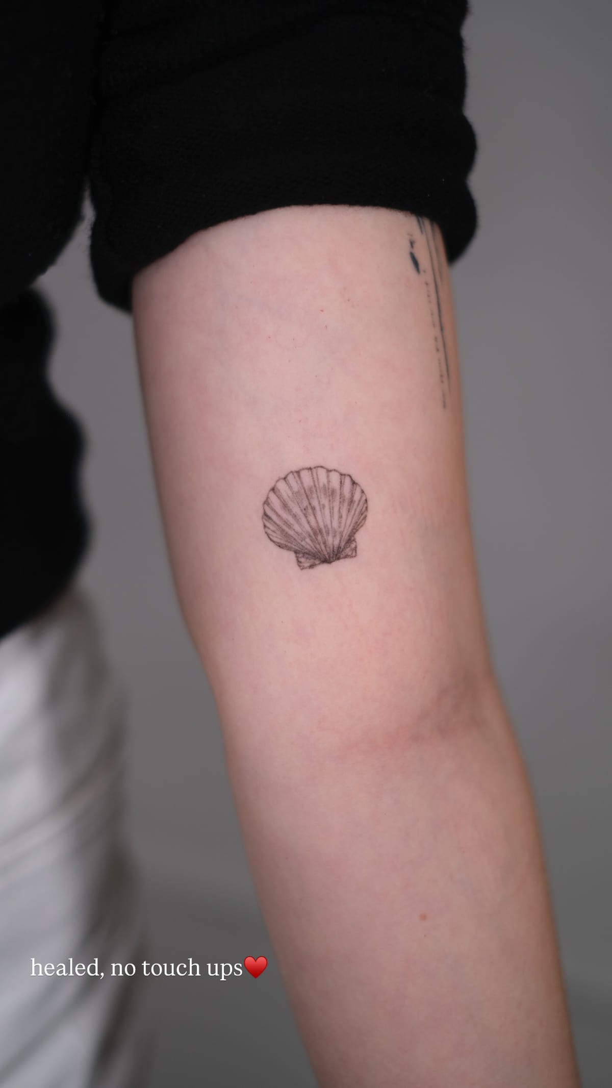 Scallop shell on the back of an upper arm, healed fine line tattoo