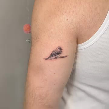 Small bird on a branch, realism, fine line tattoo