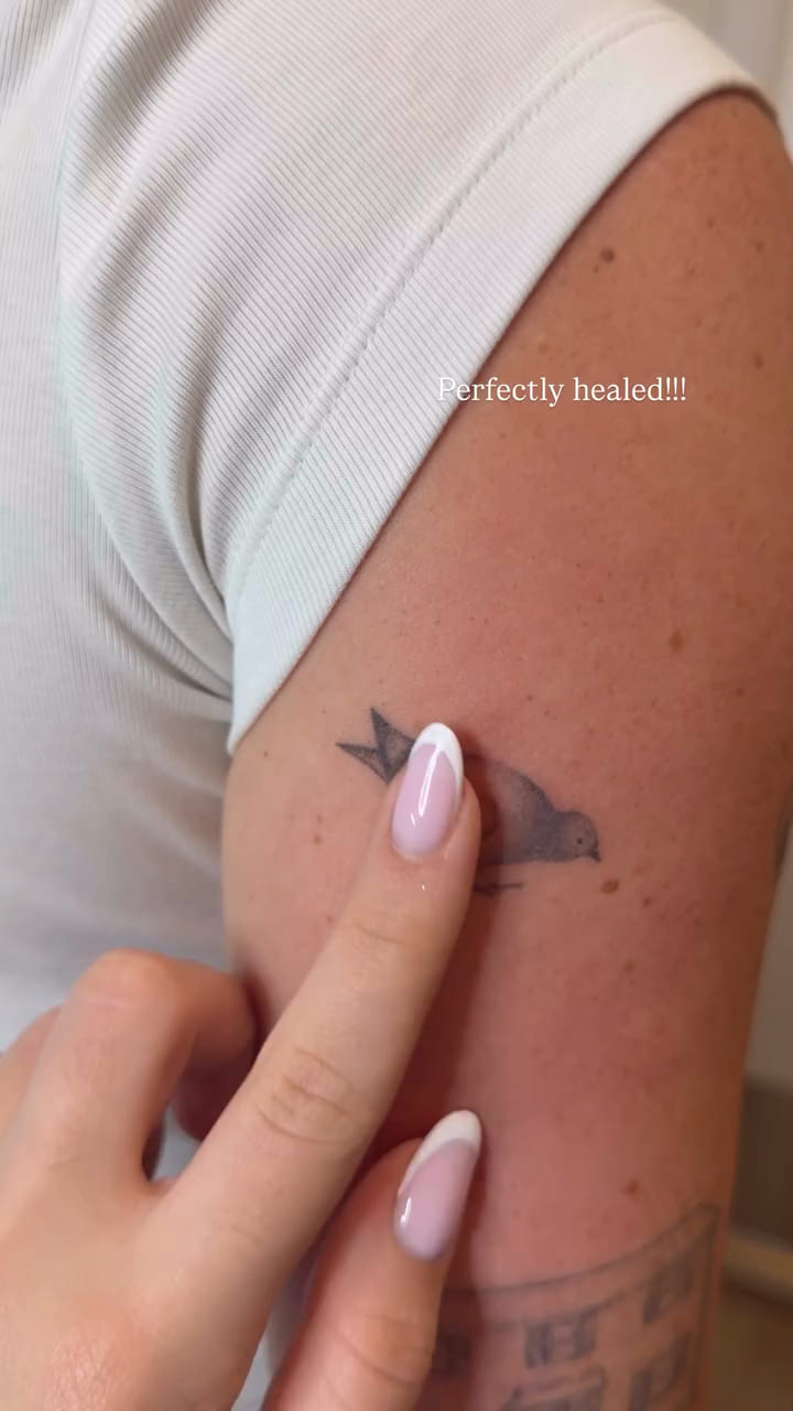Small bird on the back of an upper arm, healed fine line tattoo