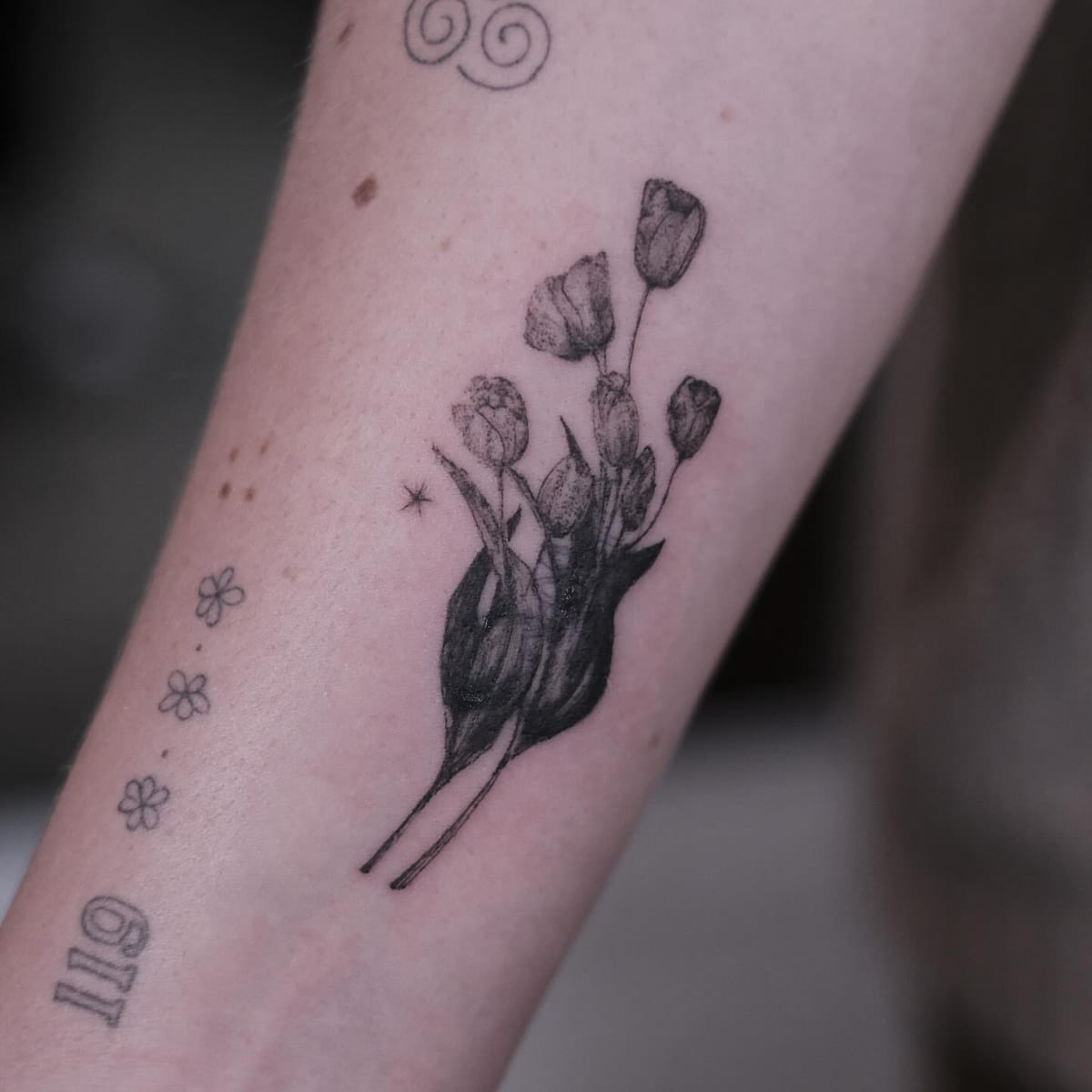 Bunch of tulips in soft black shading, another view