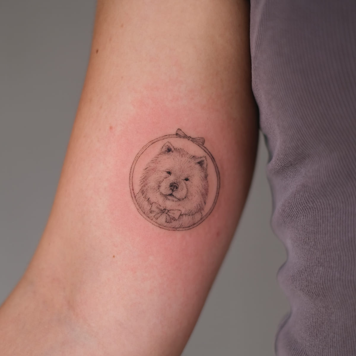 Chow chow portrait in a round frame with bows, fine line tattoo