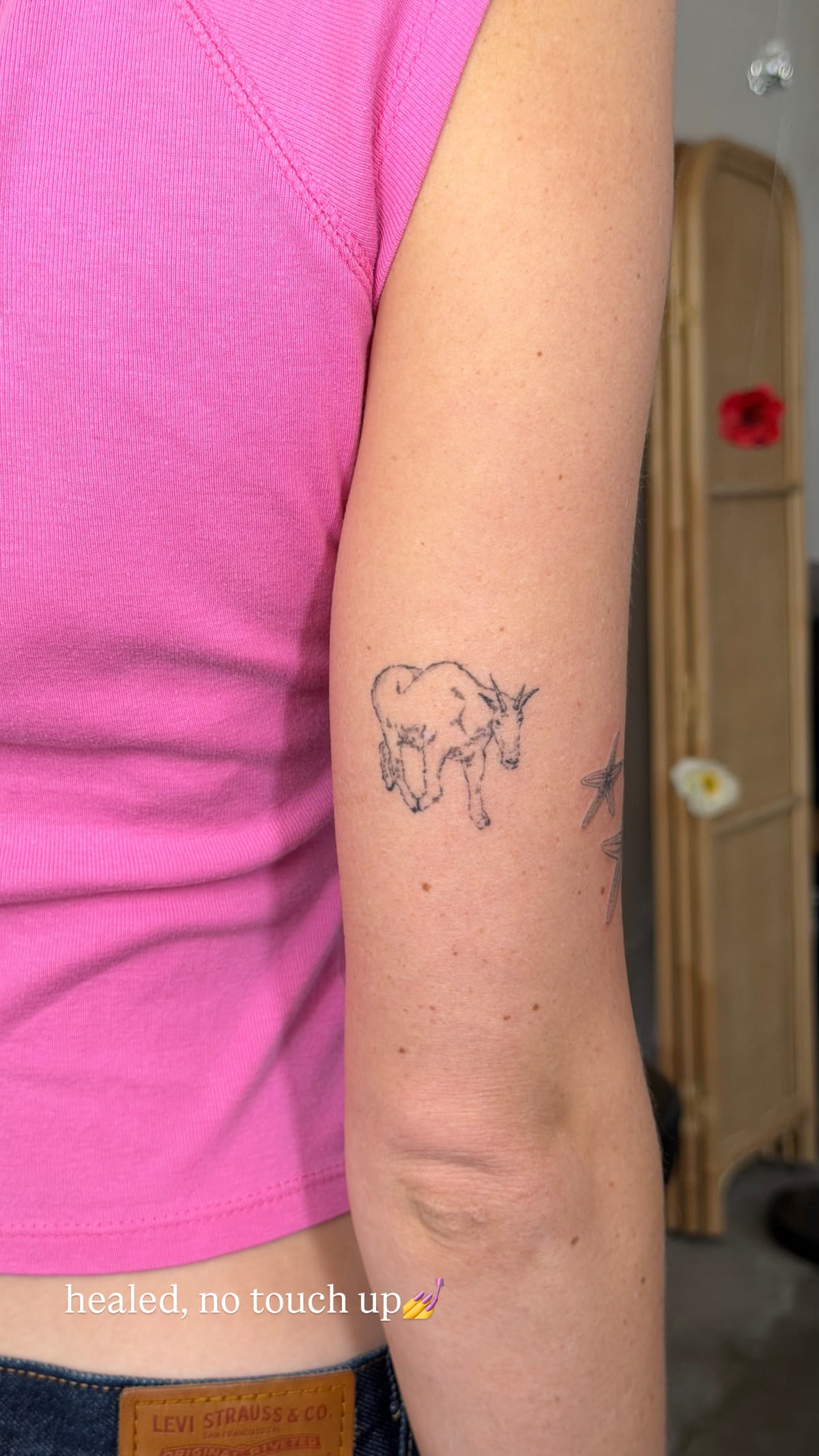 Mountain goat in fine line, healed fine line tattoo, healed