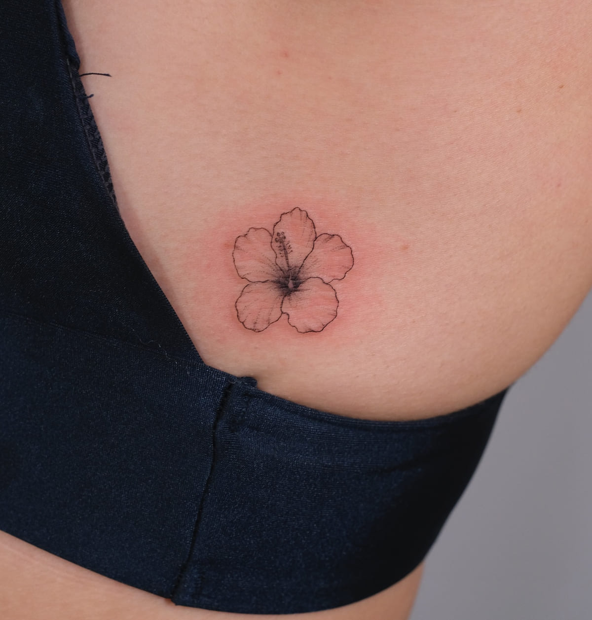 Hibiscus flower, another view