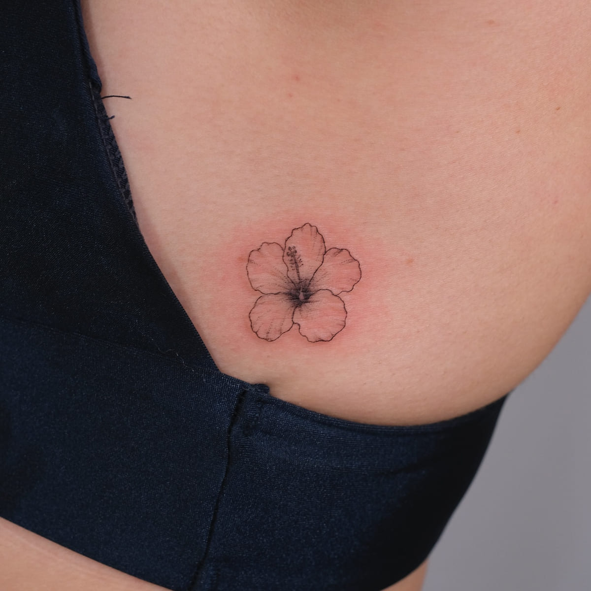 Hibiscus flower, another view
