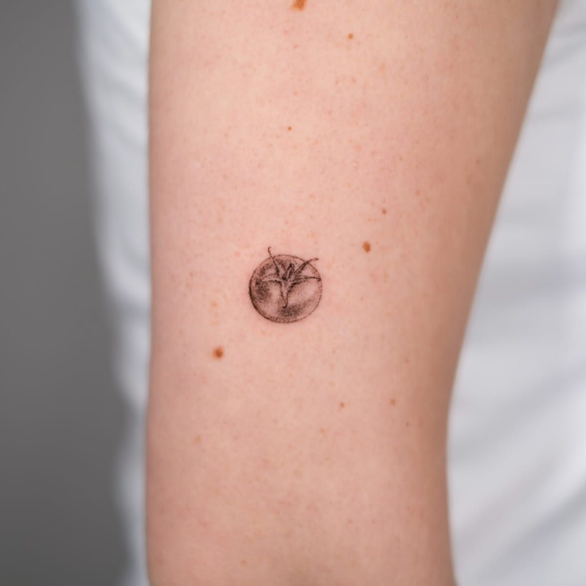 Tiny round fruit, stippled, another view