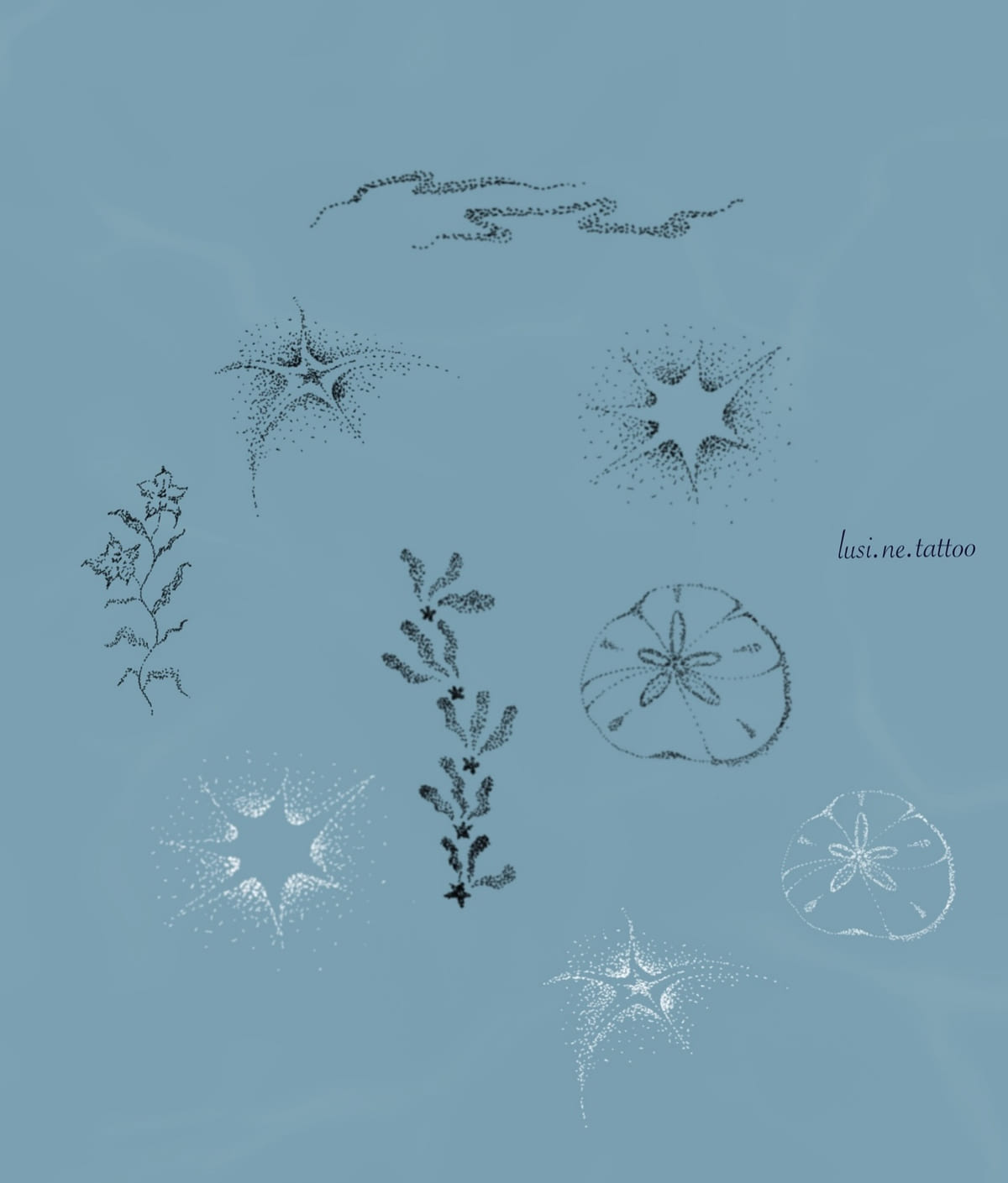 Small sea designs: dotted starfish, sand dollars, seaweed