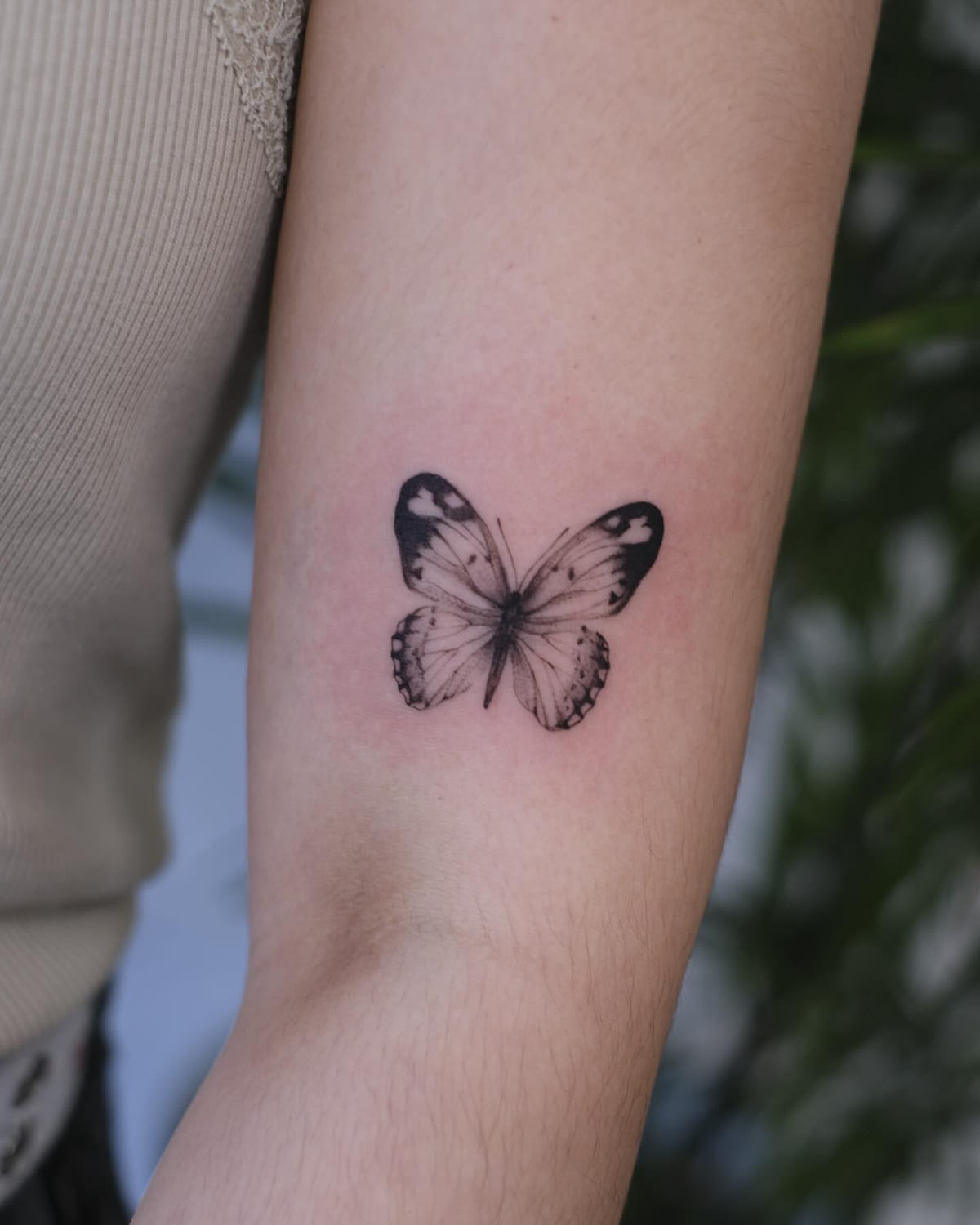 Shaded butterfly above the elbow, fine line tattoo