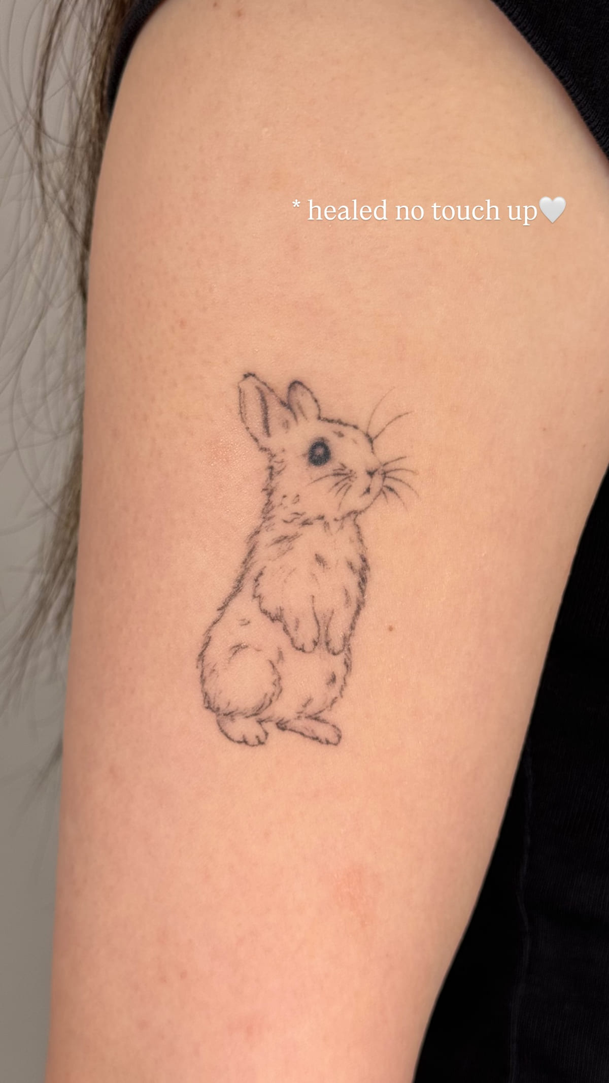 Standing rabbit on the back of an upper arm, healed fine line tattoo