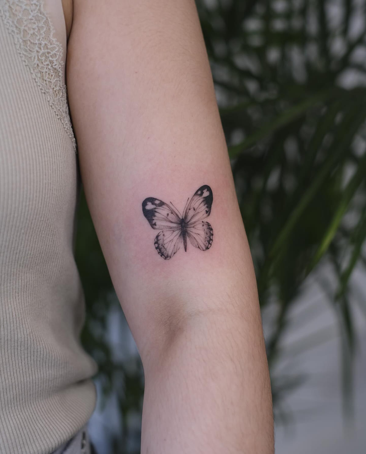 Shaded butterfly above the elbow, another view
