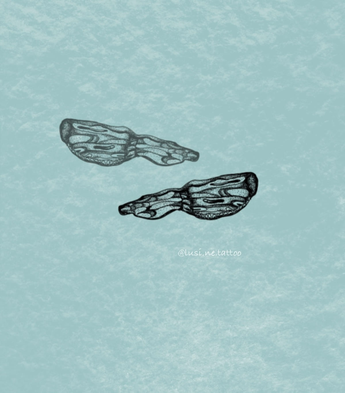 Pair of insect wings