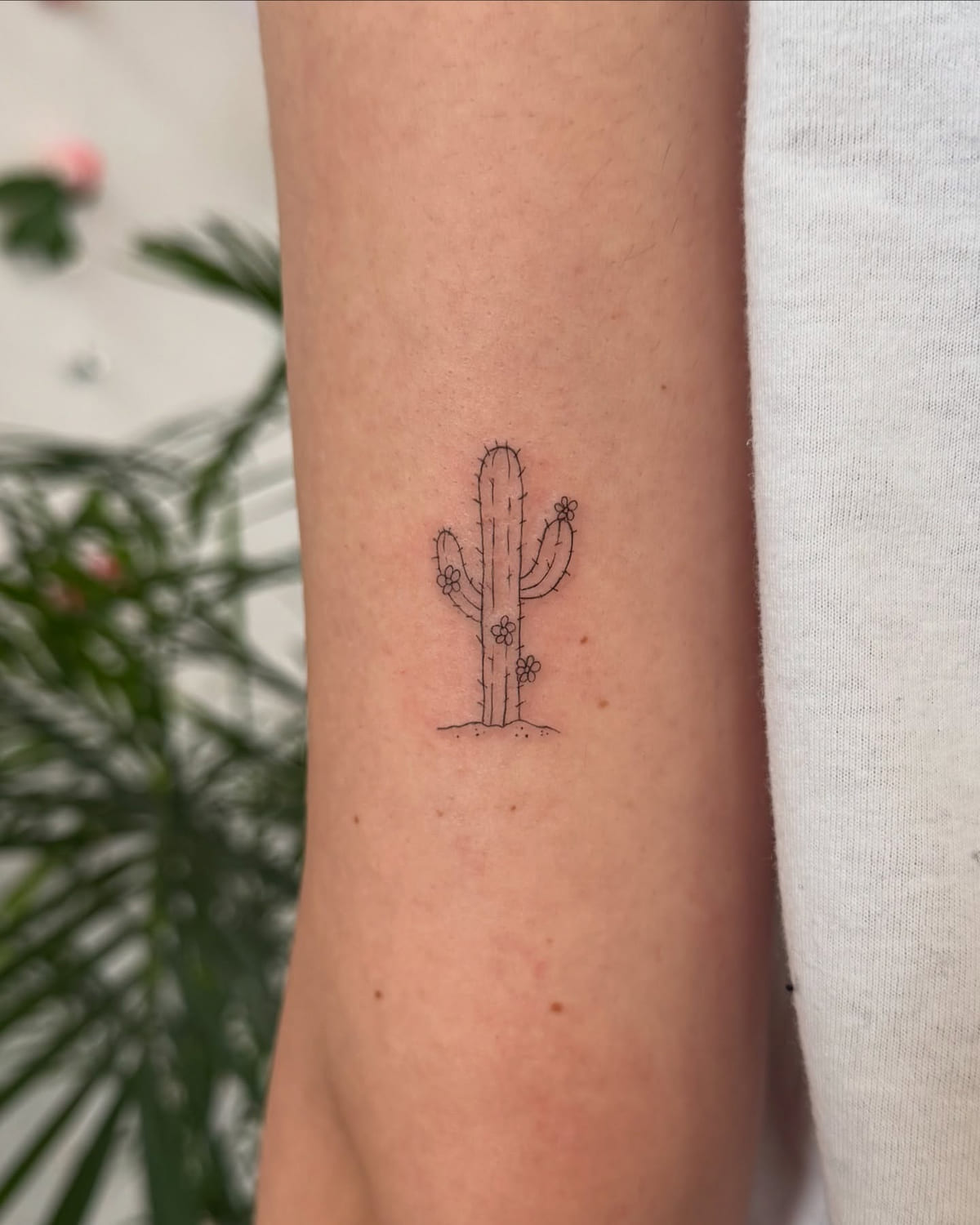 Small cactus with flowers, fine line tattoo