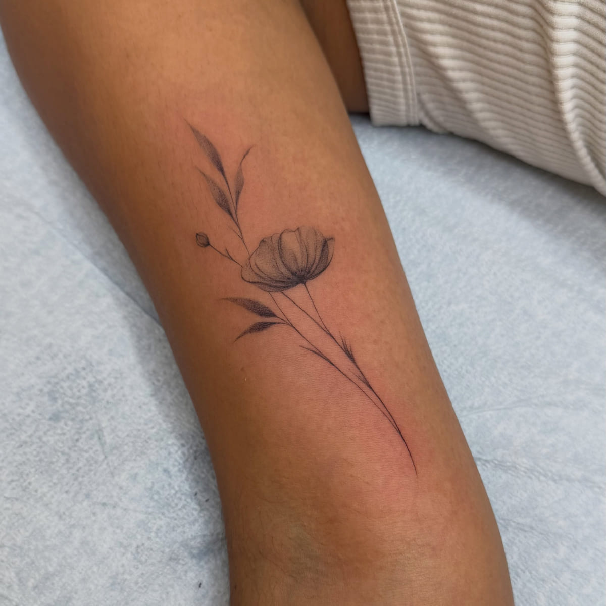 Poppy with long stem and leaves, fine line tattoo