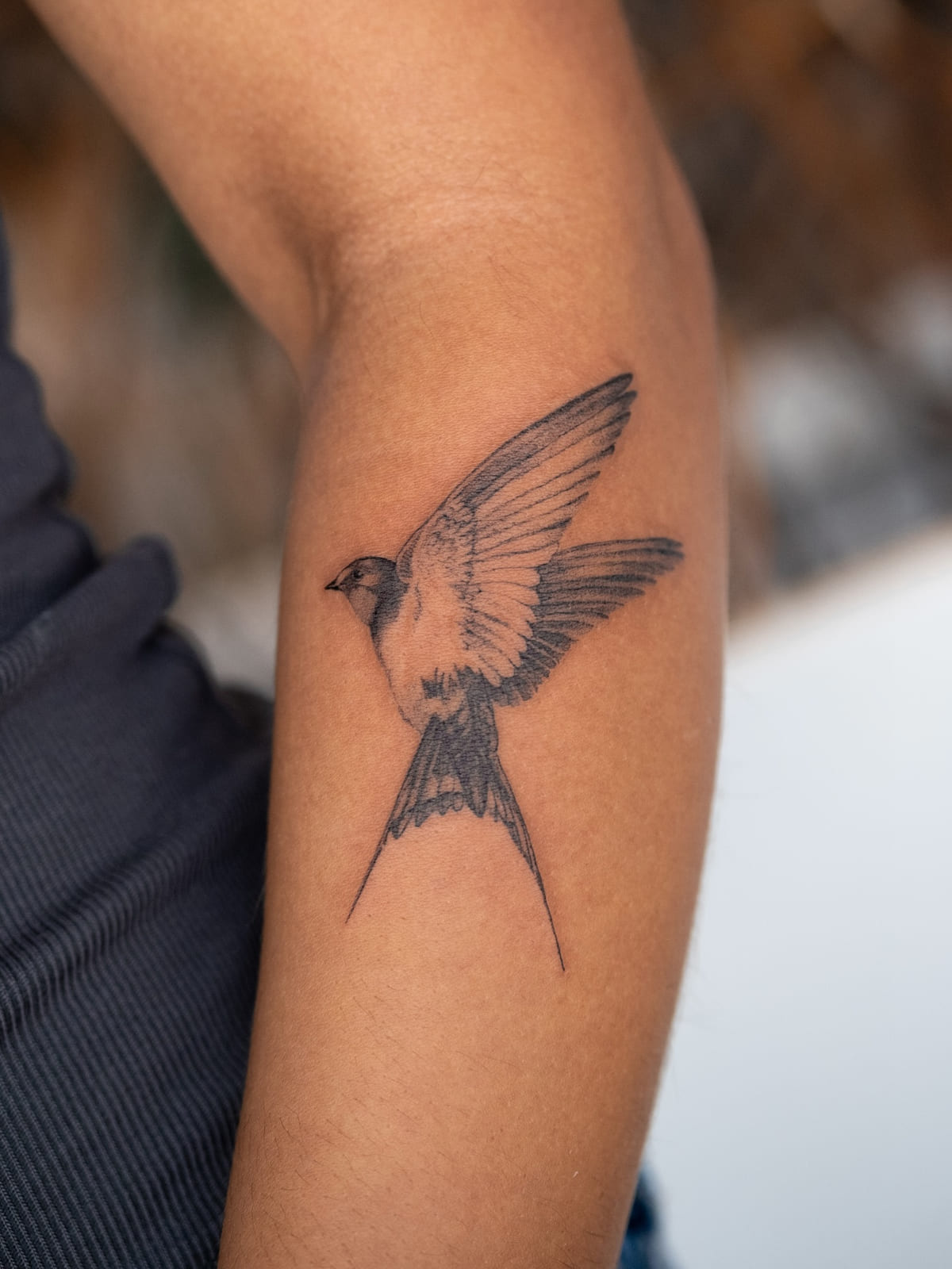 Swallow in flight, shaded realism, fine line tattoo