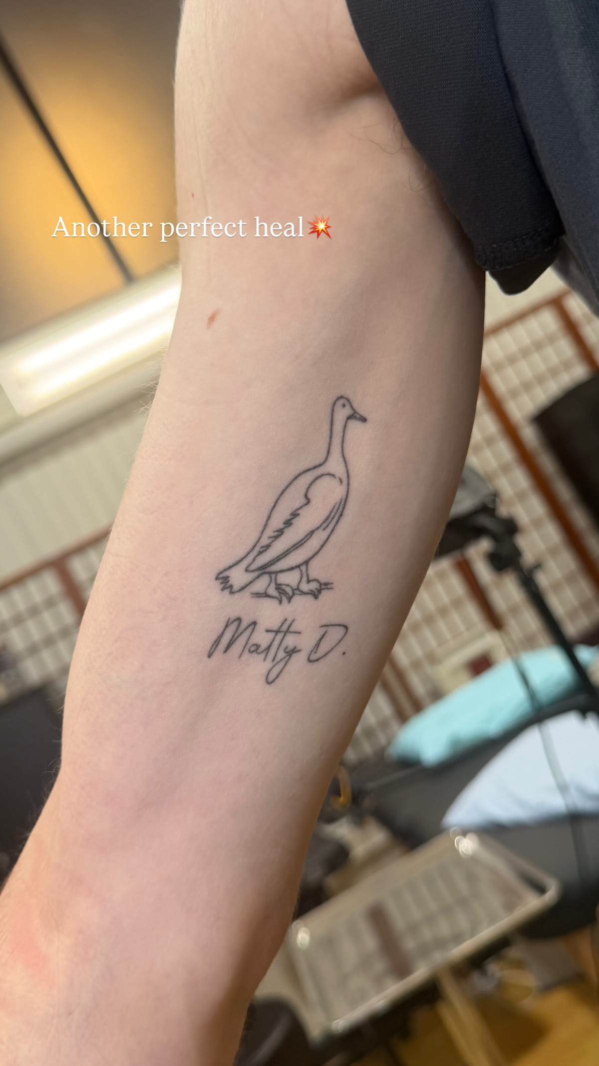 Goose in line with a name in script, healed fine line tattoo