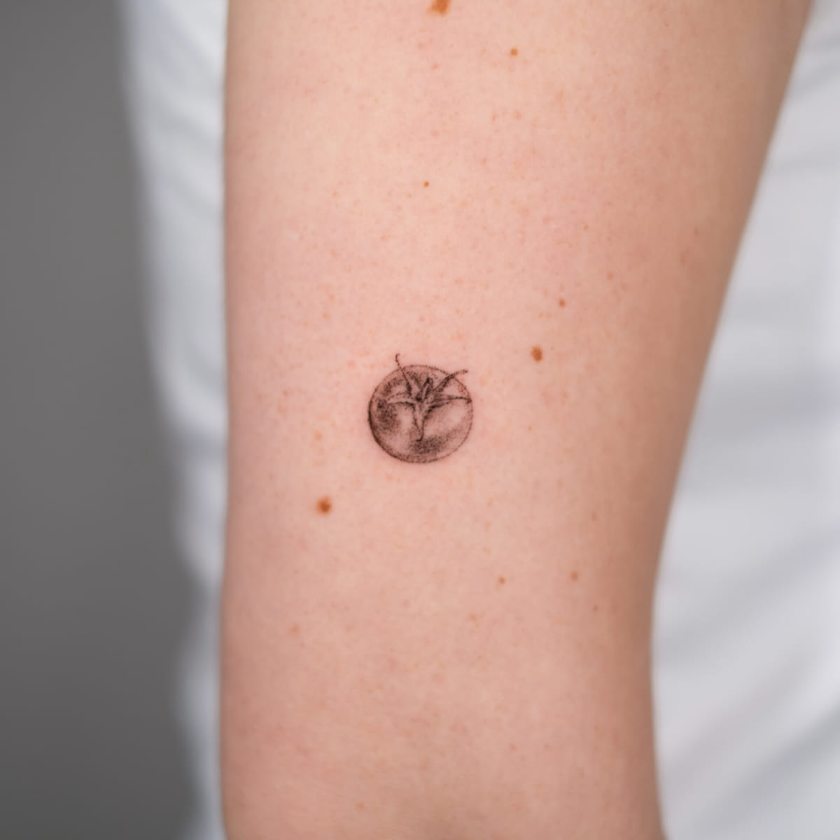 Tiny round fruit, stippled, fine line tattoo