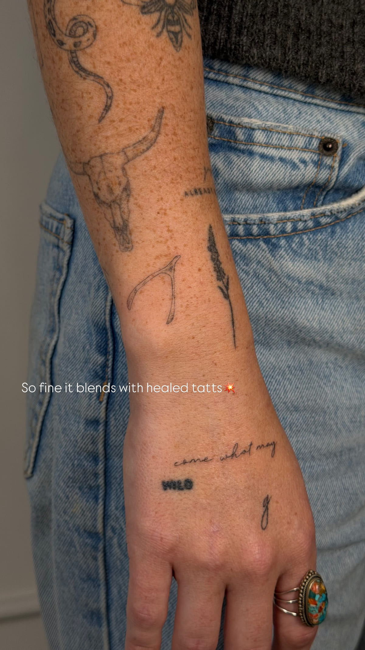 Forearm and hand of many small pieces, healed fine line tattoo