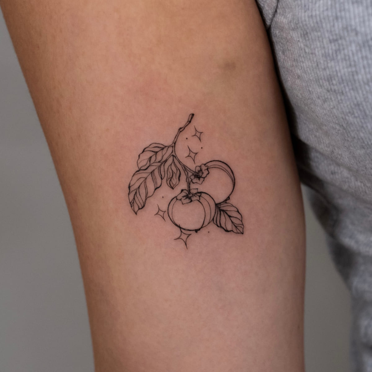 Two tomatoes on a branch with sparkles, another view