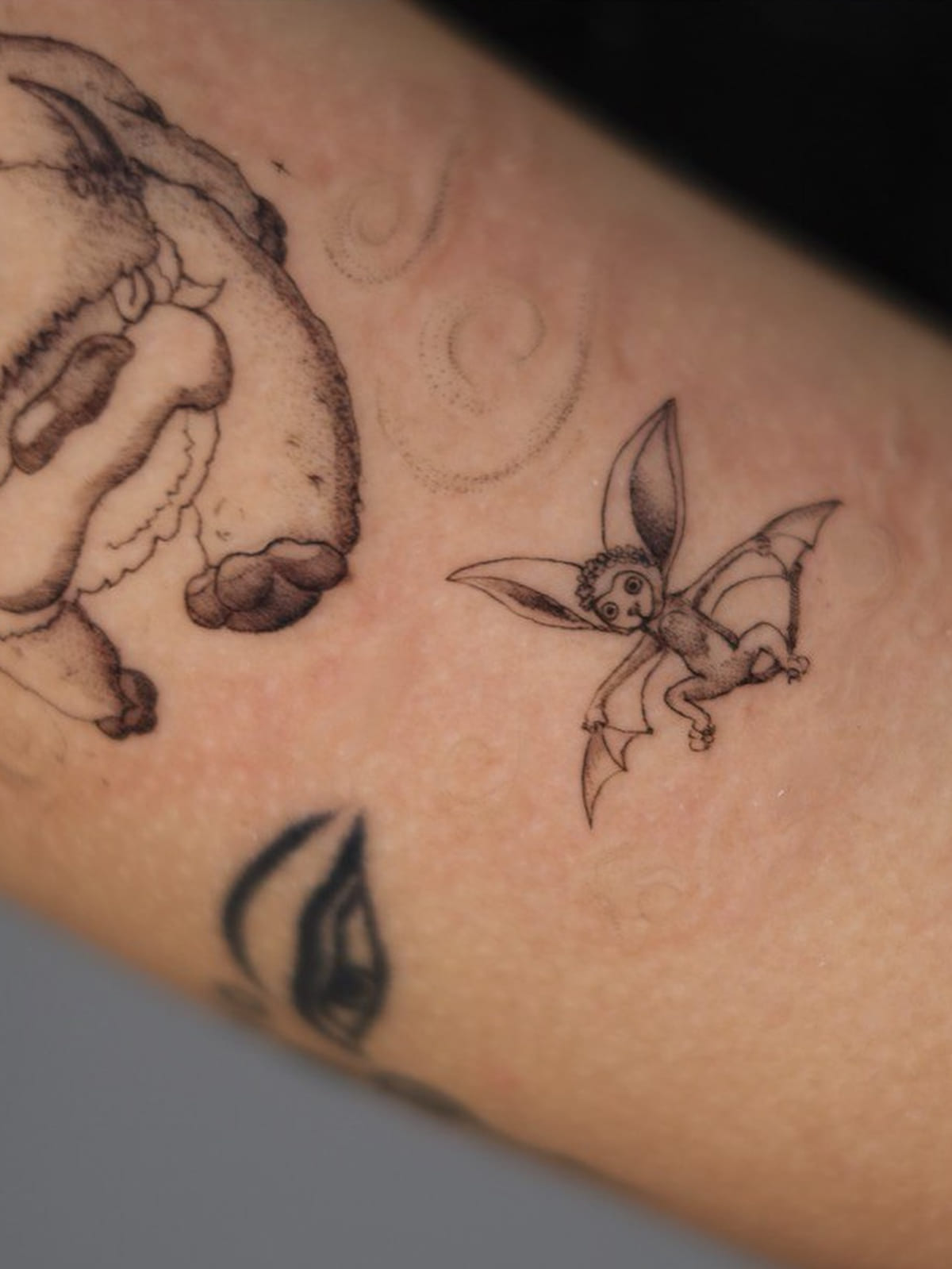 Two animated series creatures, a flying bison and a winged lemur, soft shaded with faint wind swirls, another view