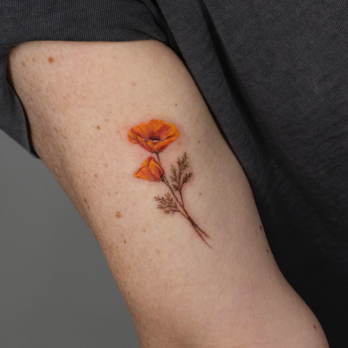 California poppy in color, another view