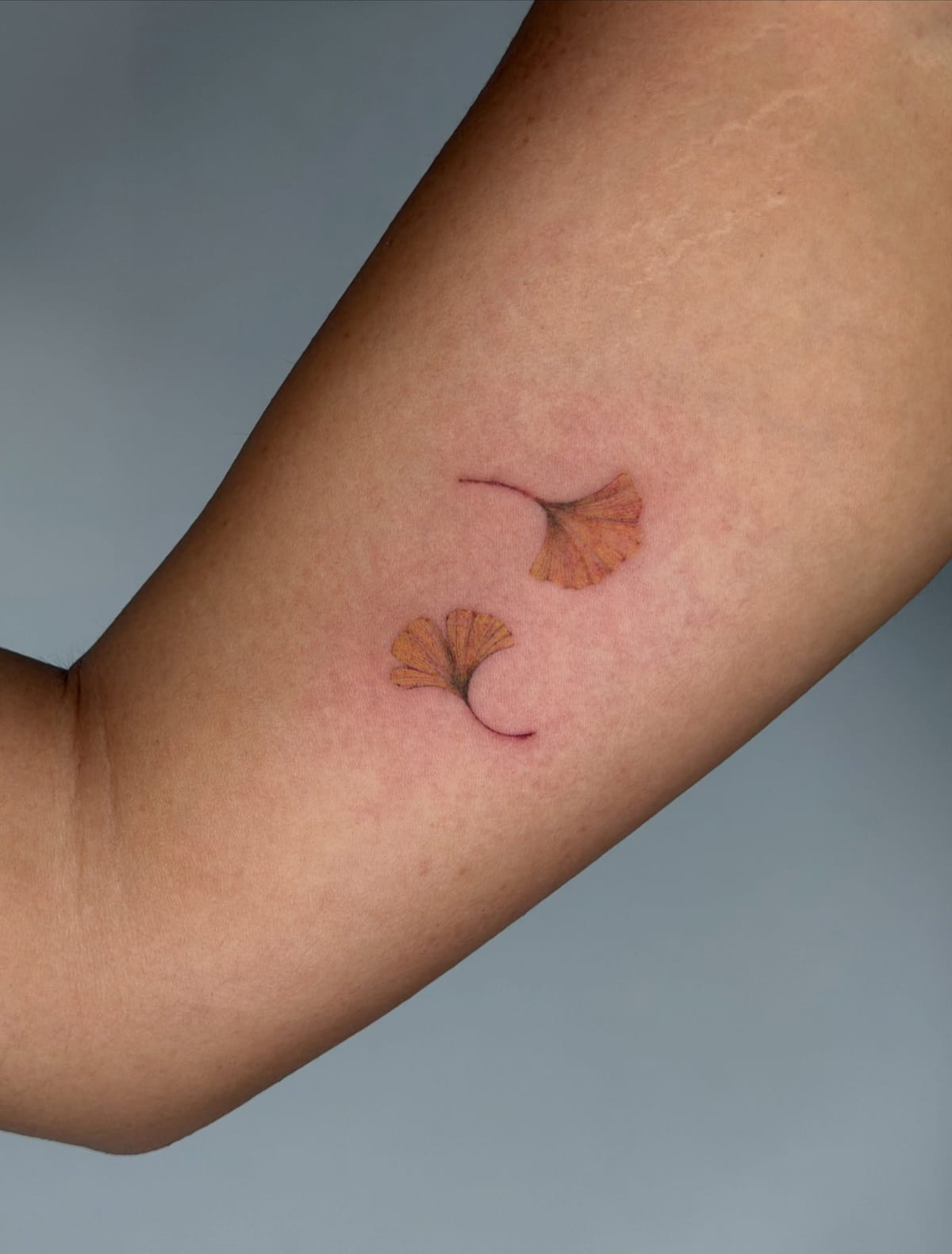 Two ginkgo leaves in ochre, fine line tattoo