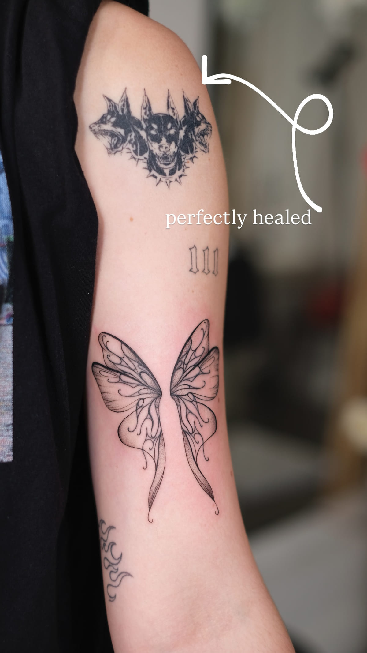 Bold black three headed dog, healed fine line tattoo, healed