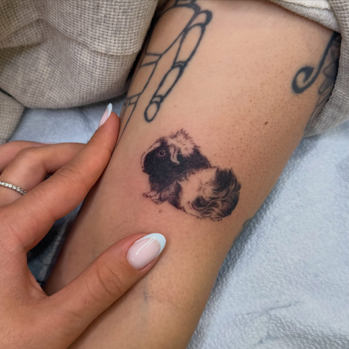 Guinea pig portrait, micro realism, fine line tattoo