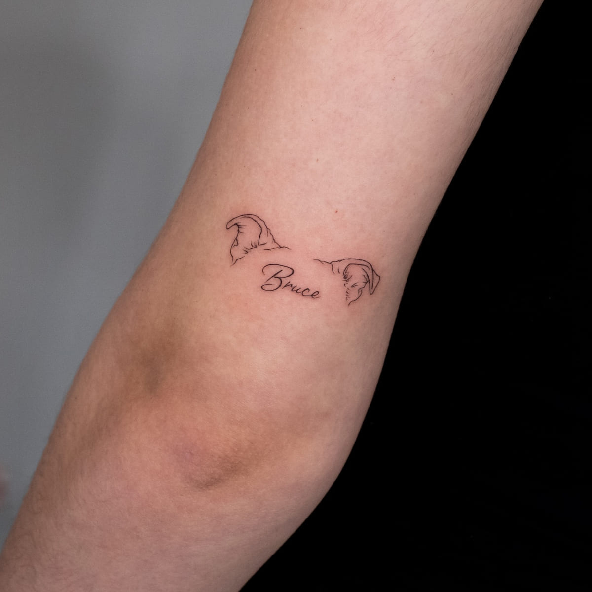 A dog's two ears with the name in script between them, fine line tattoo