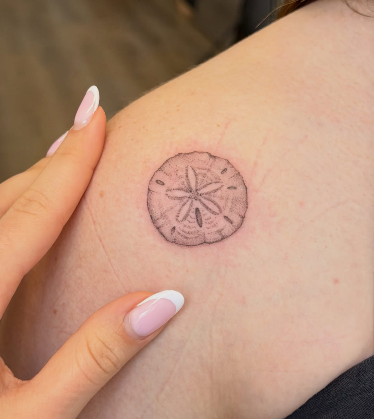 Sand dollar, stippled, fine line tattoo